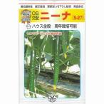 きゅうり ニーナZ 350粒 (株)埼玉原種育成会