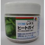  lettuce нагрев ga табебуйя let семена 5000 шарик takii вид рассада ( АО )