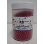 ねぎ 項羽一本太　ペレット種子　5千粒　（株）トーホク