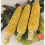  кукуруза ..... энергия 85 200 шарик Watanabe сельское хозяйство .( АО )