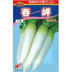  дайкон весна .180 шарик Watanabe сельское хозяйство .( АО )