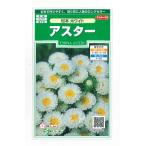 花の種 アスター 松本ホワイト 約190粒 （株）サカタのタネ 実咲250(026211)