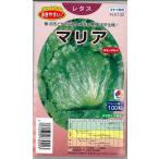 レタス マリア ペレット種子100粒 タキイ種苗（株）