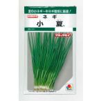  лук порей маленький лето 15mltakii вид рассада ( АО ) GF