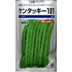 豆類　いんげん　ケンタッキー101（2024年5％増量）　1dlタキイ種苗（株）