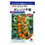  помидор мини помидоры orange тысяч .16 шарик takii вид рассада ( АО ) DF