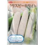 とうもろこし種　クリスピーホワイト　200粒　（株）サカタのタネ