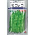 いんげん モロッコ 1dl タキイ種苗（株）
