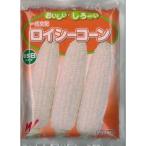 とうもろこし ロイシーコーン 2000粒 渡辺農事一代交配