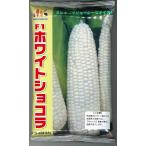 とうもろこし　ホワイトショコラ　2000粒　ヴィルモランみかど