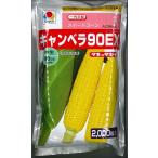 とうもろこし種　キャンベラ９０ＥＸ　2000粒　タキイ種苗