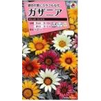 花の種 ガザニア タレントミックス 0.2ｍl タキイ種苗（株）(ＮL300)