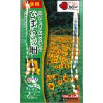 花の種 お徳用パック ひまわり畑 大輪一重咲黄色 タキイ種苗(NL500)