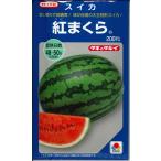 スイカ 紅まくら 200粒 タキイ種苗（株）