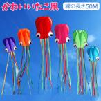  кайт кайт кайт .. мельчайший способ .... ребенок взрослый уличный игрушка легкий крепкий 50M кайт нить Новый год спорт 