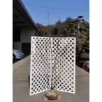 ジューンベリー1.7m露地苗木