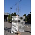 オオシマザクラ2.5m露地2本苗木