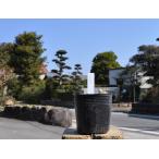 silahige saw ~cm pot рассада 