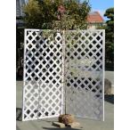 ハナミズキ実生2m露地苗木