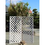 ハナミズキ実生2.5m露地苗木