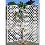 ハナミズキ白花単木1.5m露地2本苗木