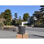 momijika лама tsu~cm pot рассада 