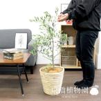 商品画像3