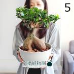 商品画像2