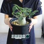 商品画像3