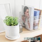 【ステララウンド：Mサイズ/陶器鉢