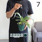 商品画像2
