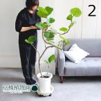 商品画像3