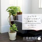 商品画像3