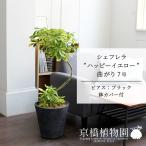 商品画像3