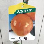 商品画像3
