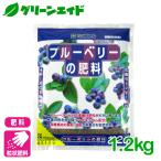 �u���[�x���[ �엿 �u���[�x���[�̔엿 1.2kg �Ԃ����� �ƒ�؉� �K�[�f�j���O ���| �r�M�i�[���� ���S�Ҍ���