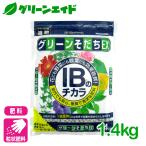  удобрение стандартный зеленый ...EX IB. chikala1.4kg цветок ... садоводство садоводство начинающий предназначенный начинающий предназначенный 