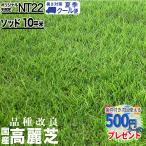 クーポン付 通常便 NITTOSEKKO 高級天然芝 NT22 ソッド 10平米分 天然芝 省管理 高麗芝 改良高麗芝 芝生 芝 品種改良 国産