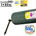 グリーンビスタプロ 240J 1Mx30M +プラピン50本入り ザバーン 防草シート 強力タイプ グリーンフィールド デュポン社