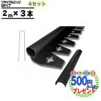 【4セット】クーポン付   砂利見切  リサイクルエッジング Qタイプ プラエッジ35 2m×3本 6m分 付属品付 爆買