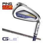 20％OFFクーポン対象 特注カスタムクラブ ピン G Le4 