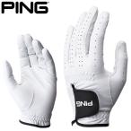 �ԥ� �Ҽ��� ŷ����ץ������� GL-P201