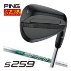 25%OFF купон объект специальный заказ custom Club булавка S259 Wedge midnight N.S.PRO 950GH NEO вал 
