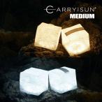  Land порт Carry * The * солнечный теплый свет прохладный яркий MEDIUM Carry The солнечный LED легкий складной солнечный фонарь medium внутренний стандартный товар 