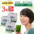 青汁 国産 送料無料 天然 ケール 3箱セット 60袋 個包装 健康 子ども 野菜不足 緑黄色野菜 粉末 ビタミンU フリーズドライ製法 酵素たっぷり 非加熱 防災 非常食