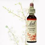  Cherry слива 10mlbachi цветок remeti essence remeti пастеровская пипетка прямой .. внизу . бутылка перевозка удобный небольшое количество . ведро цветок масло жидкий путешествие 