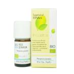 ゼラニウム 5ml(インラストリーズ)