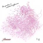 ドライフラワー 約1g カスミ草 パープル [小花 プリザーブドフラワー 花材 flower かすみ草 カスミソウ 春]