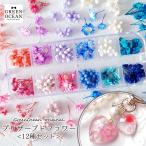 ドライフラワー プリザーブドフラワー12種セット ミックス アソート レジン封入 レジン用花材 本物 小分け 少量 ケース入り GreenOceanオリジナル♪