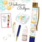 手作りキット ハーバリウムペン キラキラマリンセット♪ お好きなペンの色が選べます♪作り方説明書付き ボールペン 貝 海 巻貝